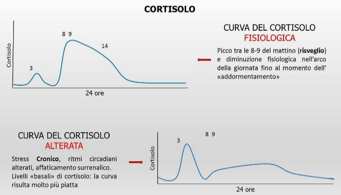 Ritmo circadiano cortisol