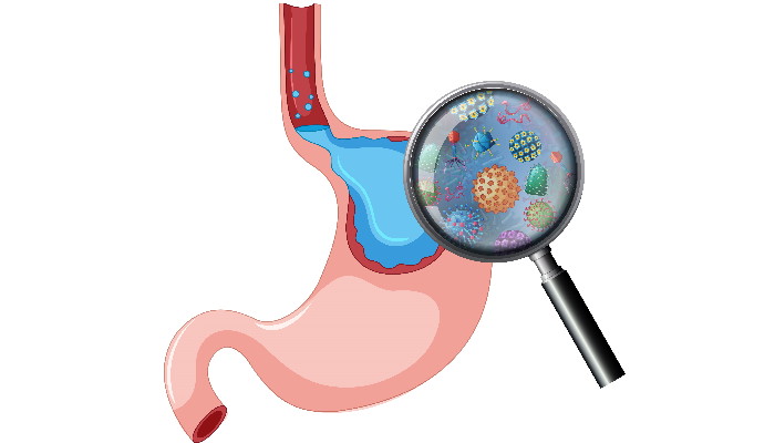 Helicobacter Pylori