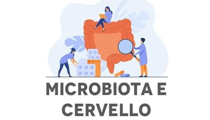Interazioni Microbiota e Cervello