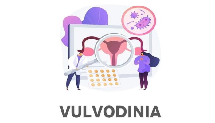 microbiota intestinale vulvodinia