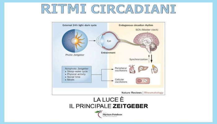 Ritmi Circadiani Alterati e Rimedi